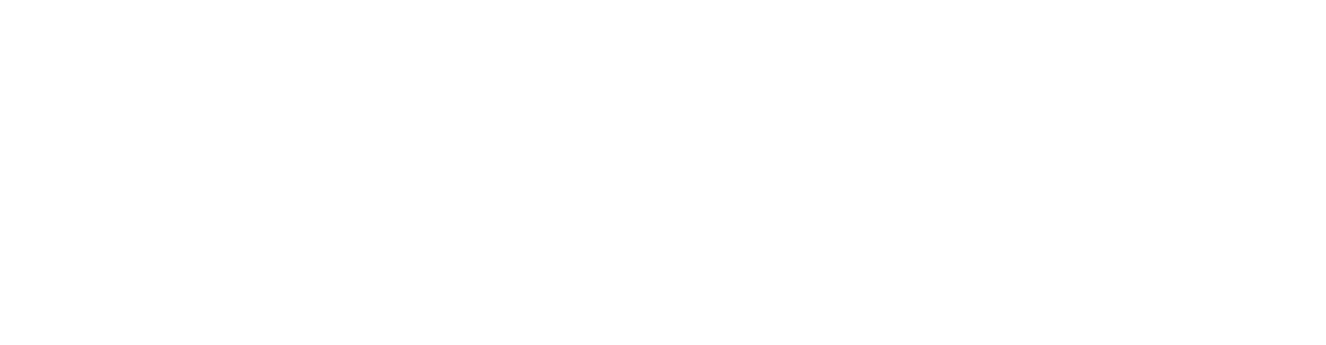 OVI Group Logistics and Customs Clearance Services